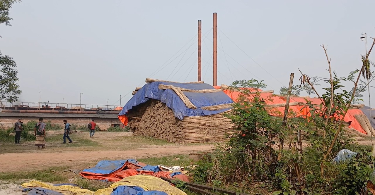 মাগুরায় অবৈধ কার্বন তৈরির কারখানায় দূষিত হচ্ছে পরিবেশ