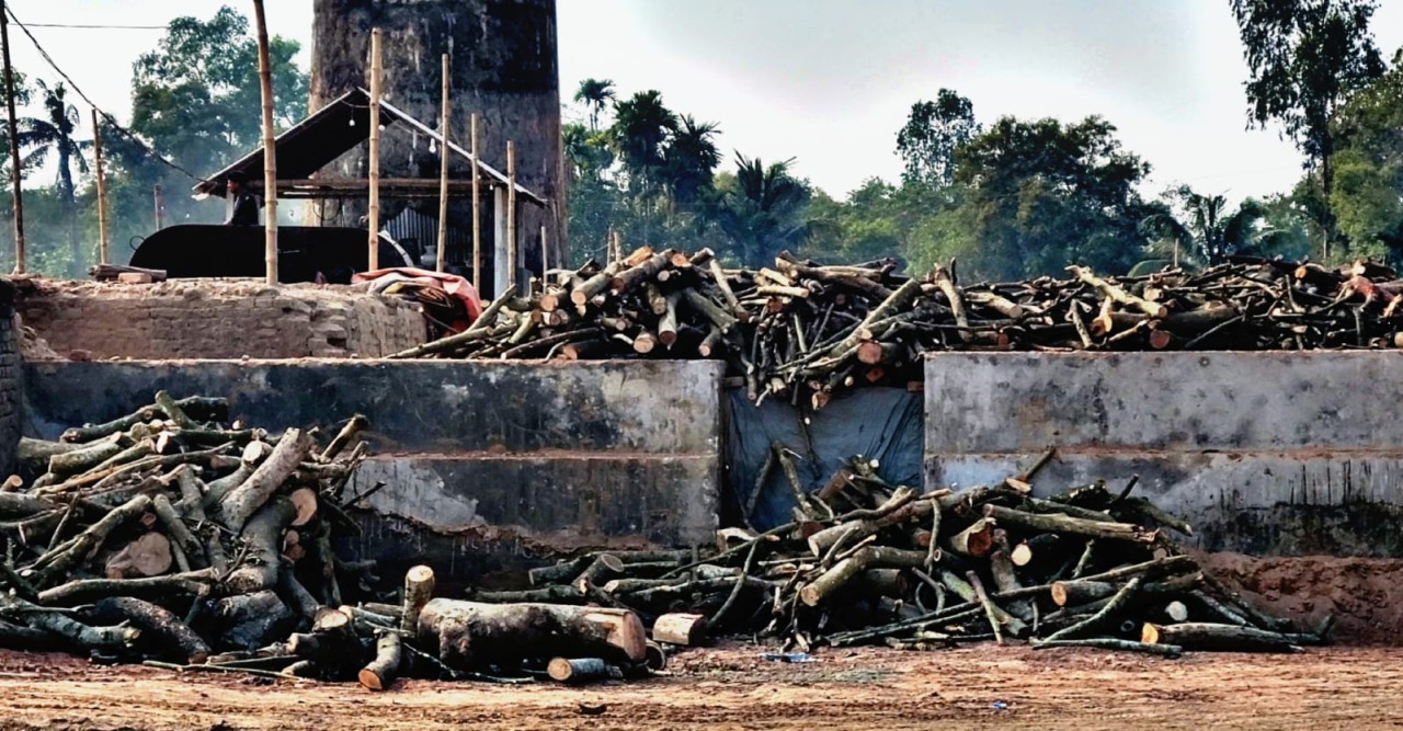 ঘাটাইল উপজেলায় ইটভাটার বিষাক্ত ধোঁয়া ও বর্জ্যে পরিবেশ বিপন্ন, জনস্বাস্থ্য ঝুঁকিতে