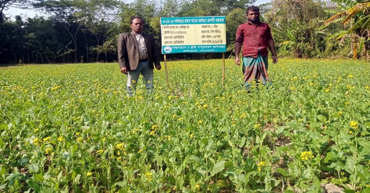 ফকিরহাটে সরিষার বাম্পার ফলনের আশা কৃষকের