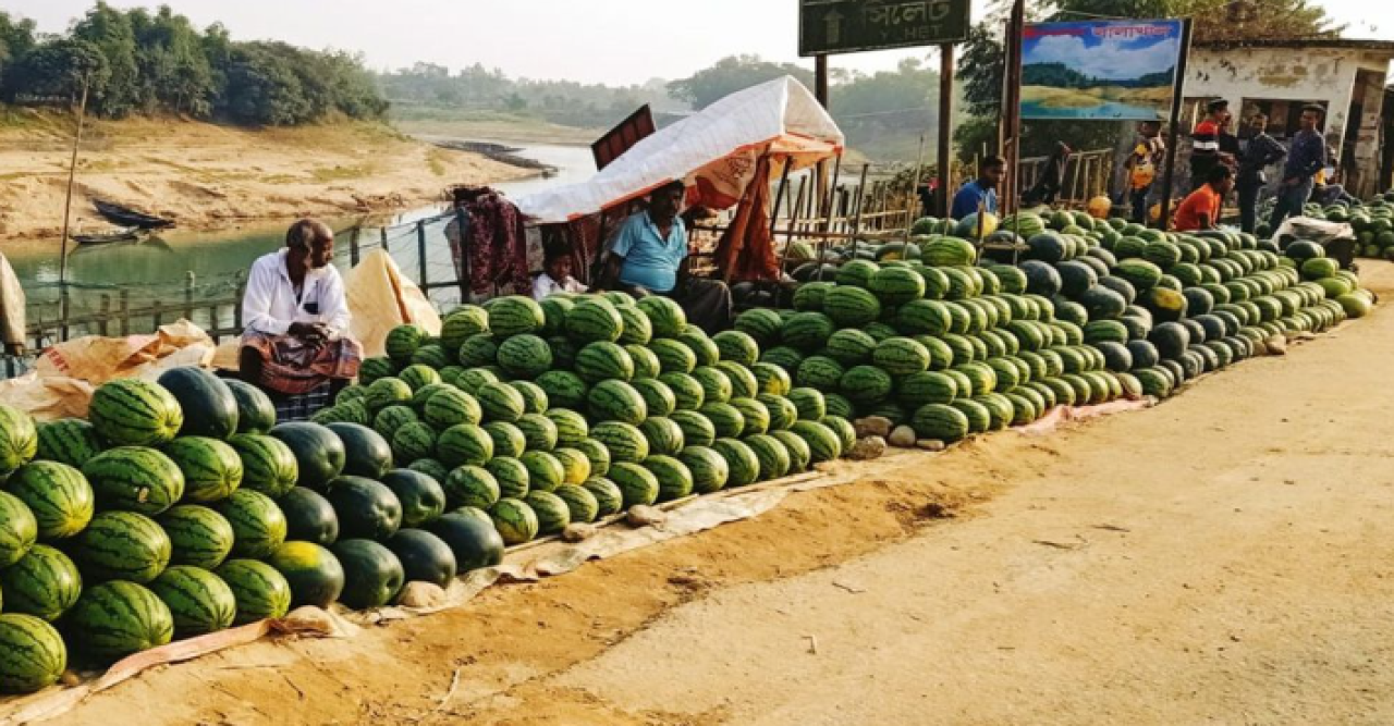 গোয়াইনঘাটের হাটবাজারে উঠছে তরমুজ ভালো দাম পাওয়ার আশা
