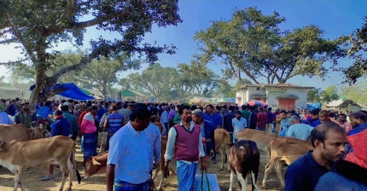 পশু হাটে অতিরিক্ত টোল আদায়: প্রশাসন নিরব