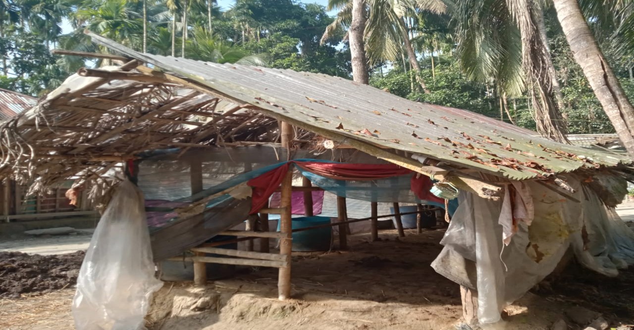 ফকিরহাটে গভীর রাতে কৃষকের ৬টি গরু চুরি