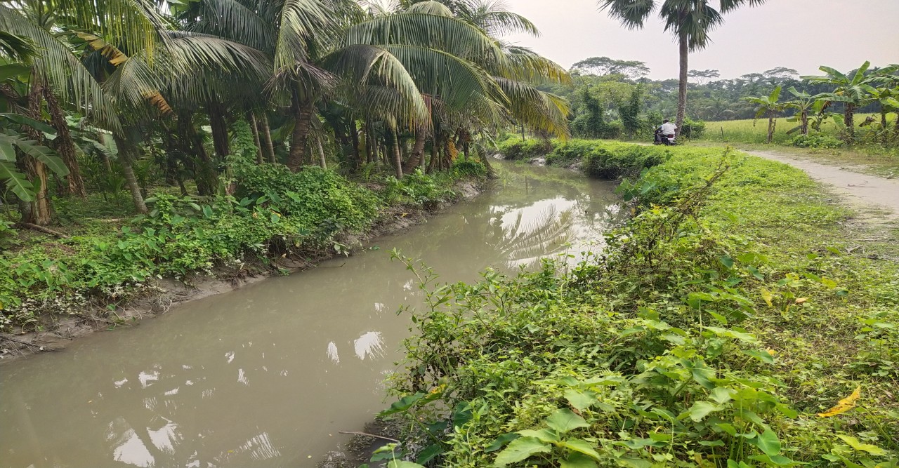 নেছারাবাদে খাল খনন প্রকল্পের অর্থ হরিলুটের অভিযোগ