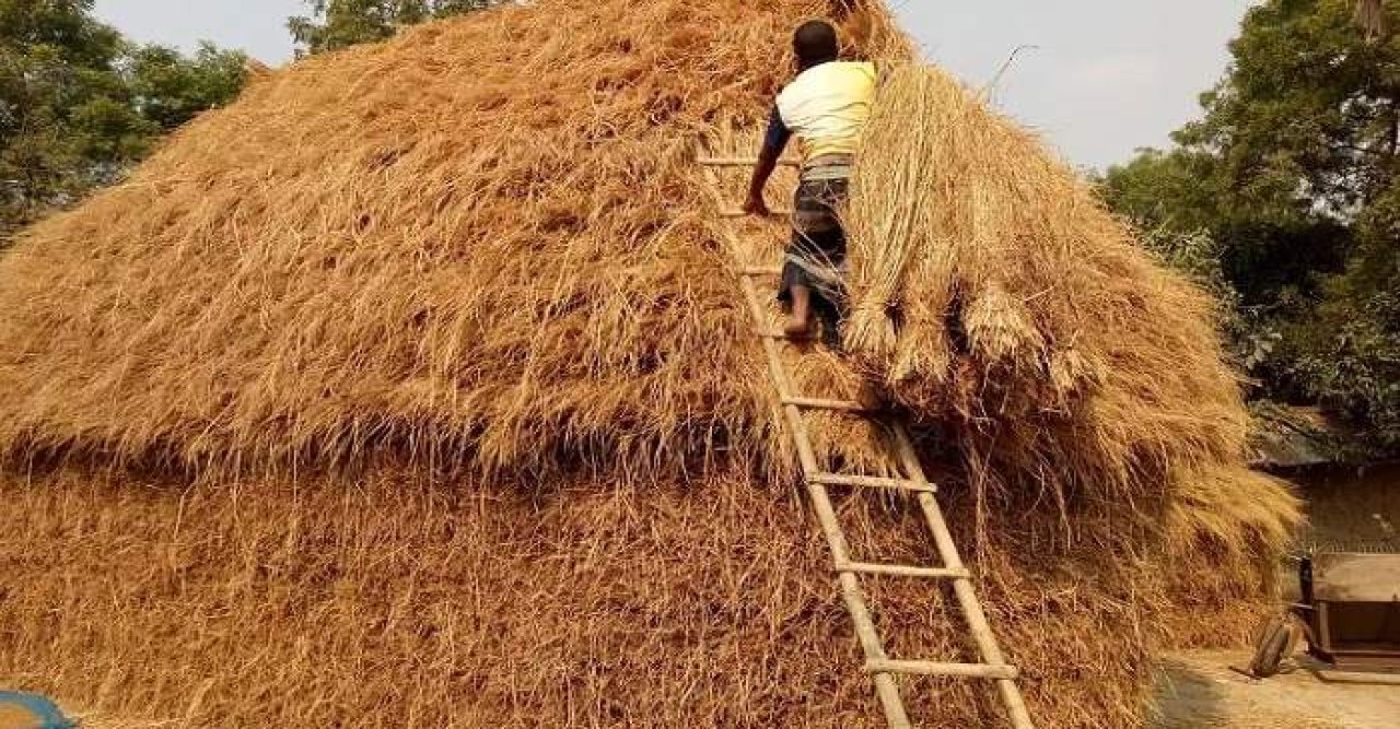 হোসেনপুরে ধানে নয়,খড় বিক্রি করে লাভবান কৃষক 