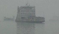 শরীয়তপুর-চাঁদপুর নৌরুটে ফেরি চলাচল বন্ধ