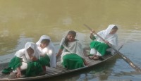 শিক্ষার্থীদের বিদ্যালয়ে যাওয়ার নৌকা ই একমাত্র ভরসা 