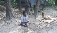 ভাঙ্গুড়ায় প্রতিবন্ধী যুবকের মানবেতর জীবন